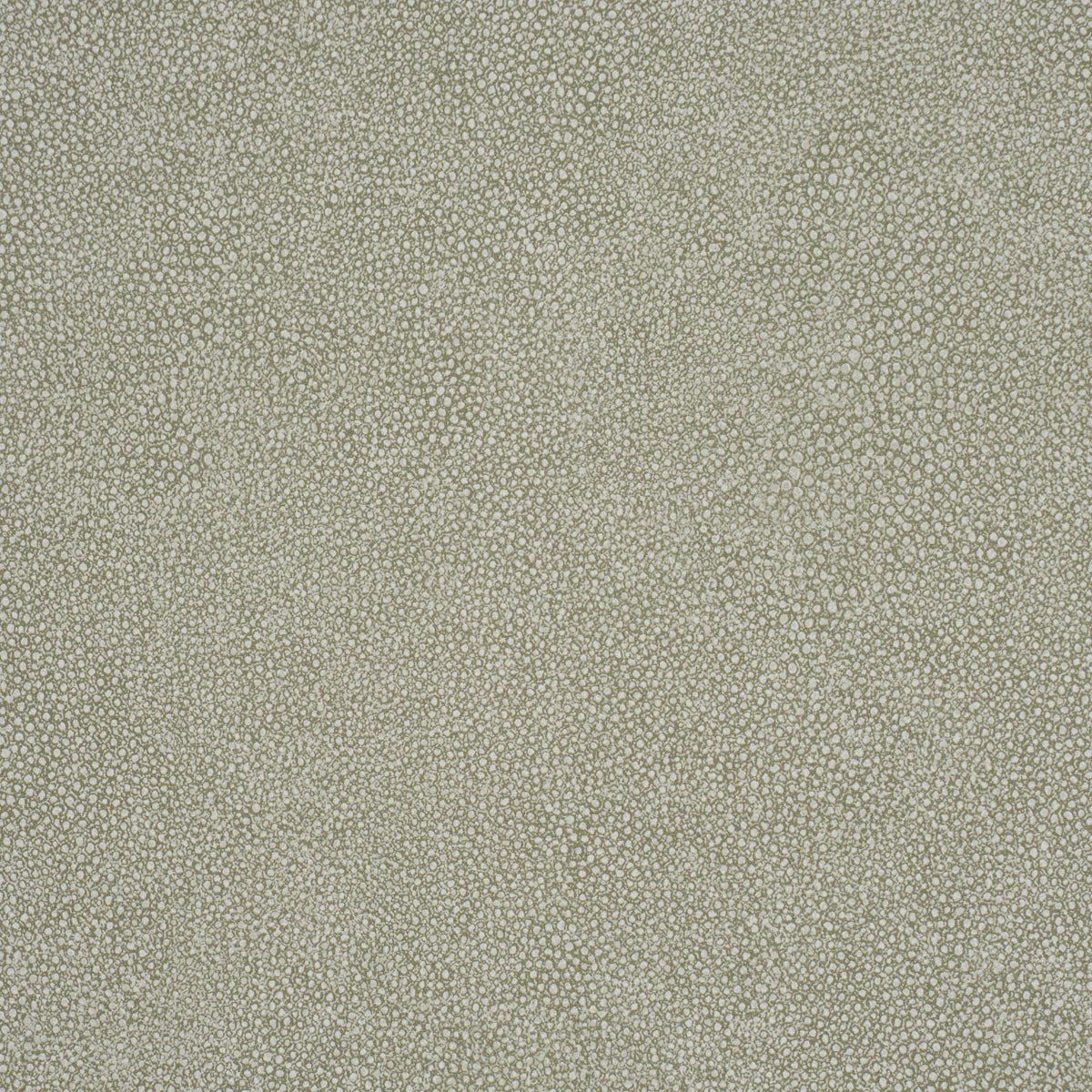 DUNBAR-SHAGREEN-VINYL-OLIVE-SCHUMACHER-5017260