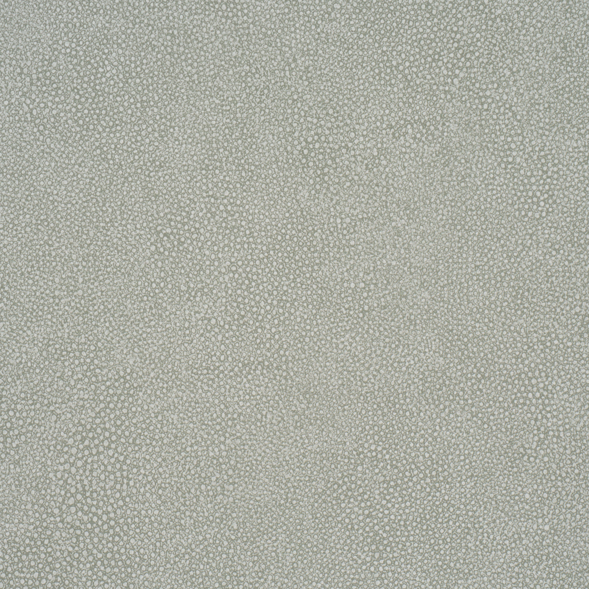 DUNBAR-SHAGREEN-VINYL-HAZE-SCHUMACHER-5017261