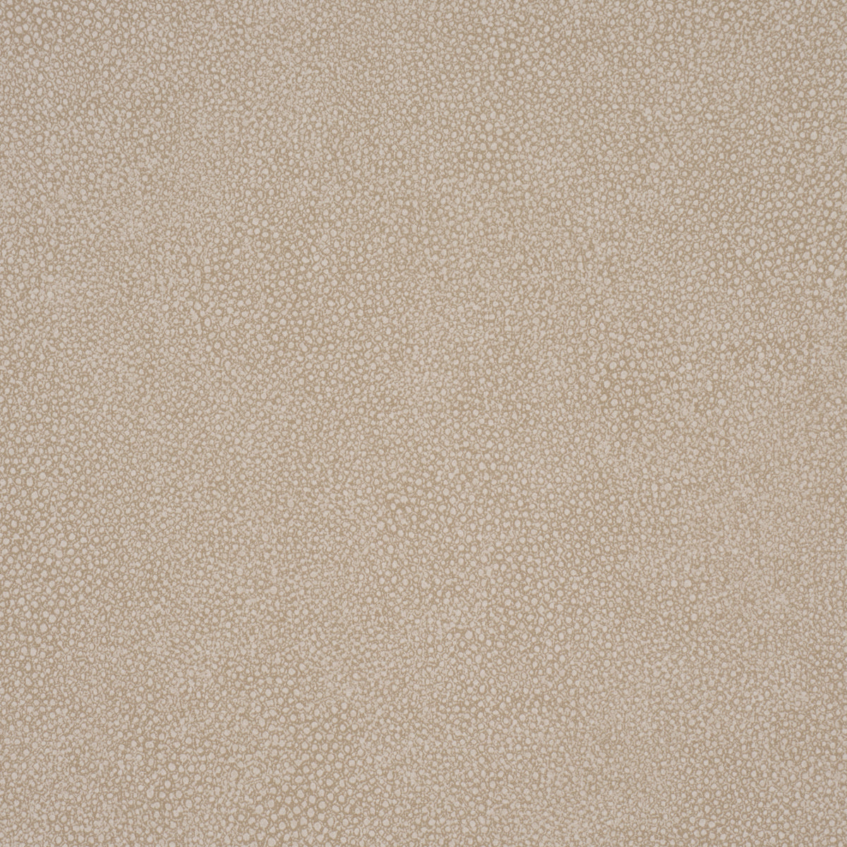 DUNBAR-SHAGREEN-VINYL-SANDSTONE-SCHUMACHER-5017263