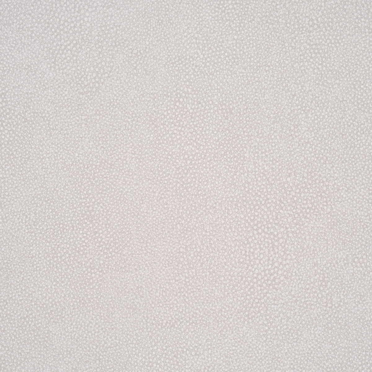 DUNBAR-SHAGREEN-VINYL-PEARL-SCHUMACHER-5017265