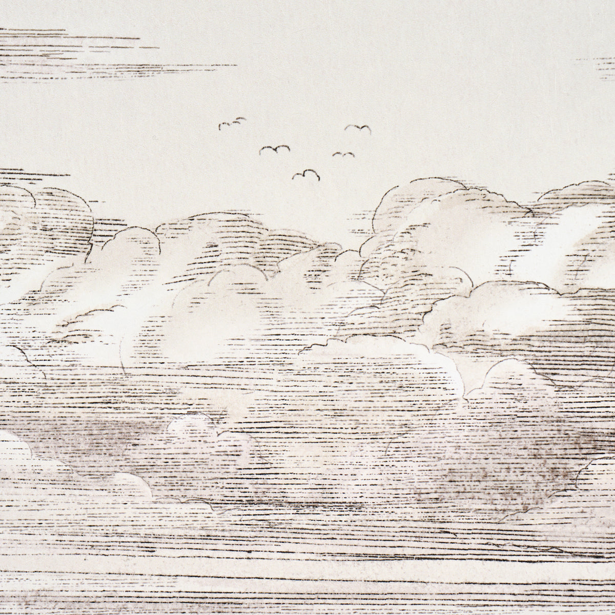 MR-DARCYS-CLOUDS-GRISAILLE-SCHUMACHER-5017582