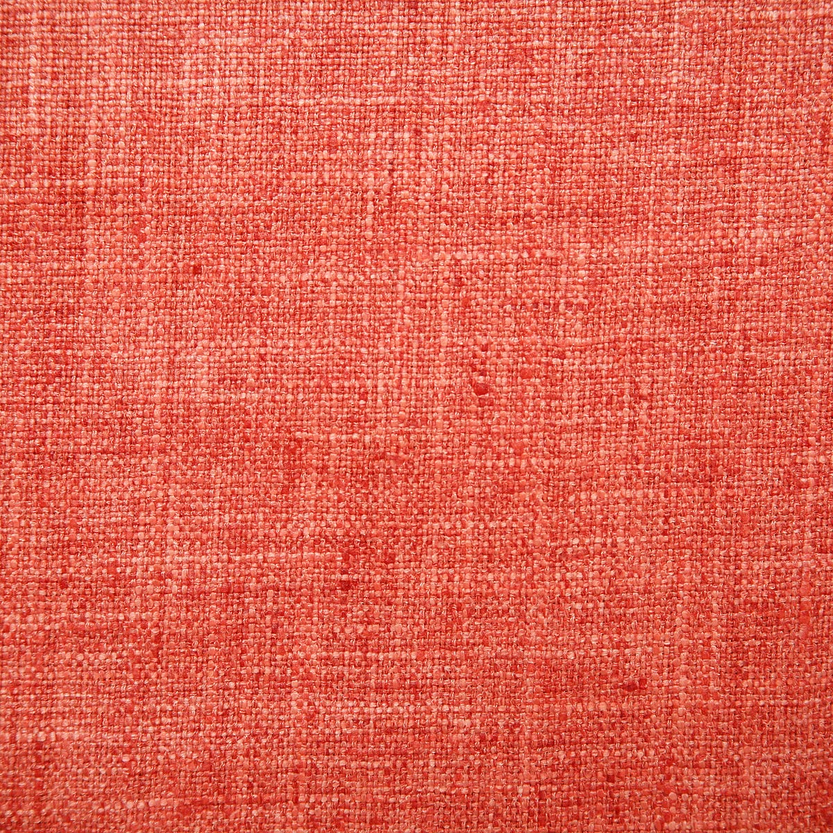 5313-drina-coral-pindler