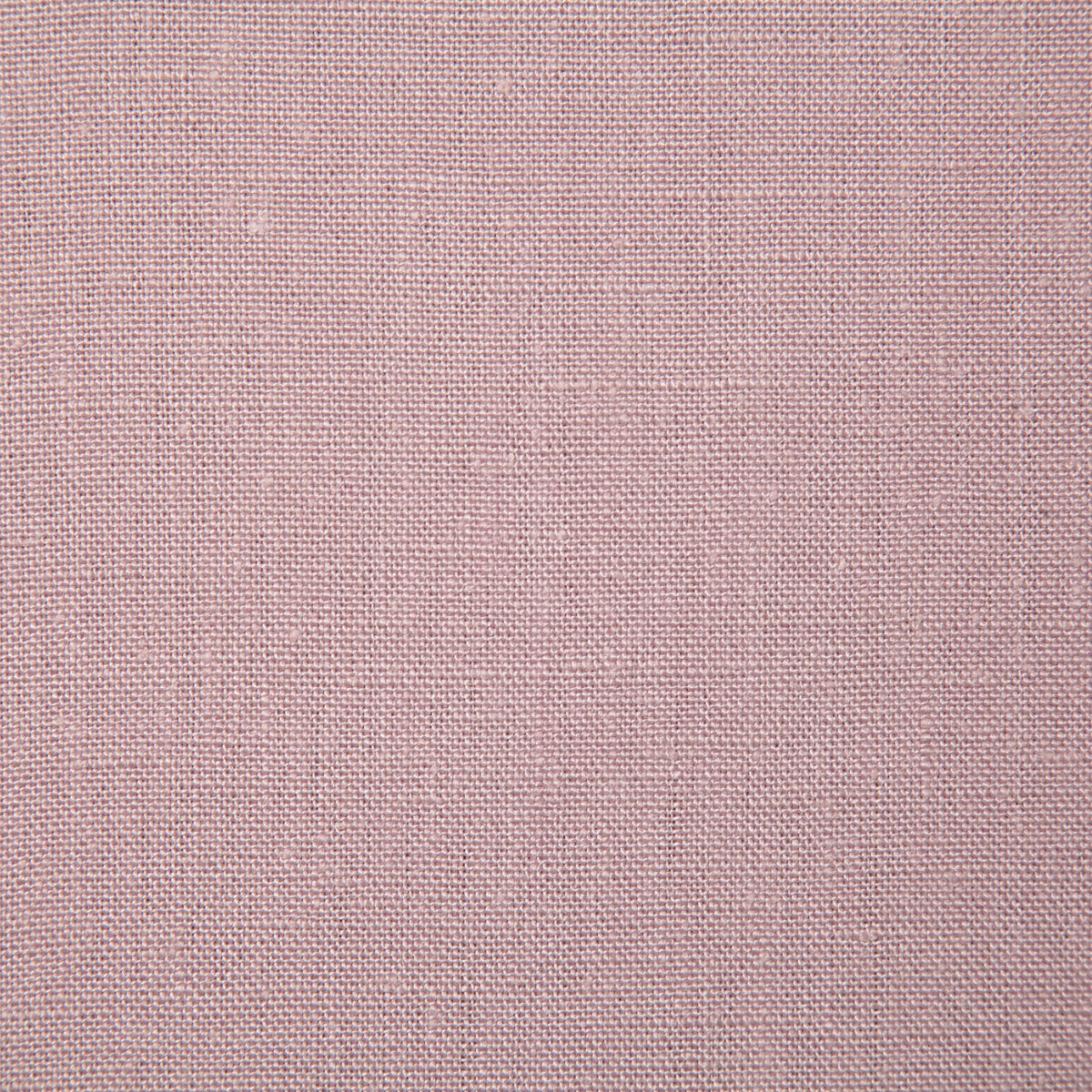 5468-flanders-lilac-pindler