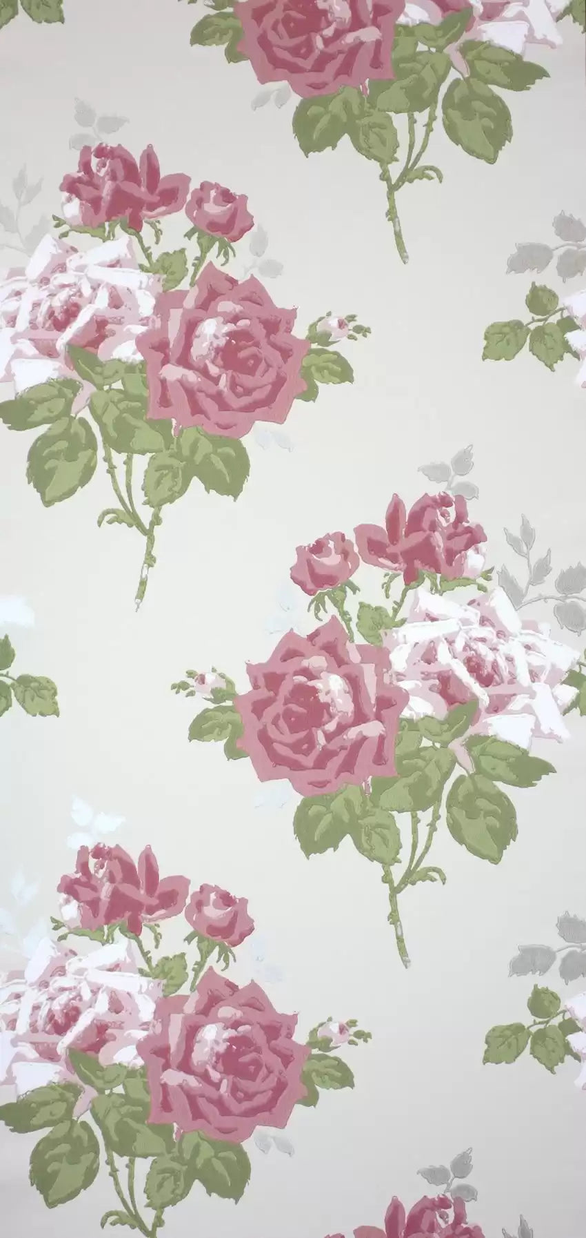 paradiso-rosa-alba-nina-campbell-ncw4033-02