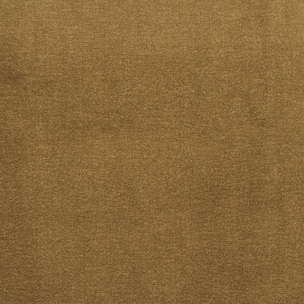 COTTON-CLUB-VELVET-THYME-SCHUMACHER-55283