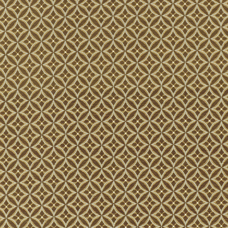 MARTINE-WEAVE-LICHEN-SCHUMACHER-55720