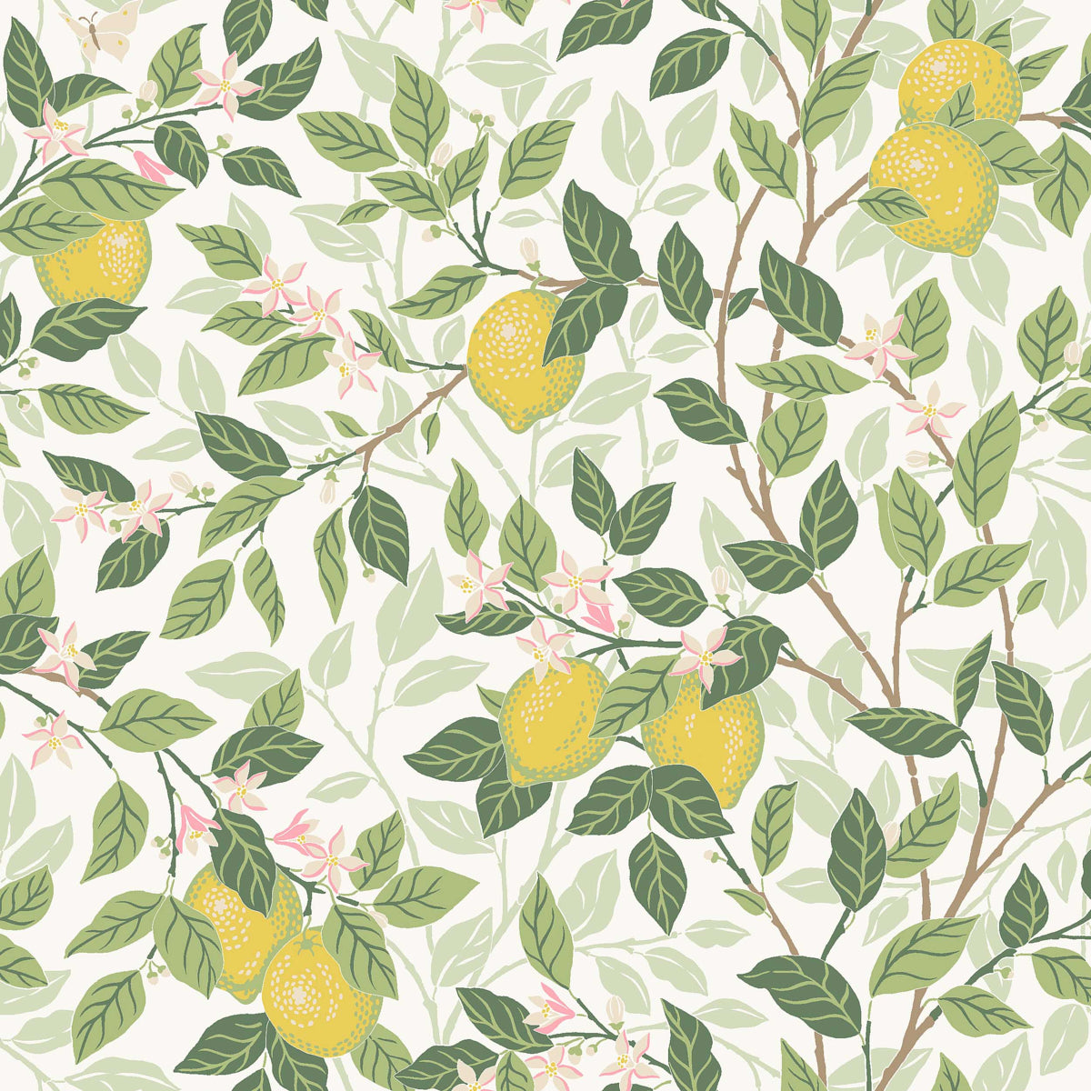 CITRONTRD-IVORY-AND-LEAF-SCHUMACHER-5702