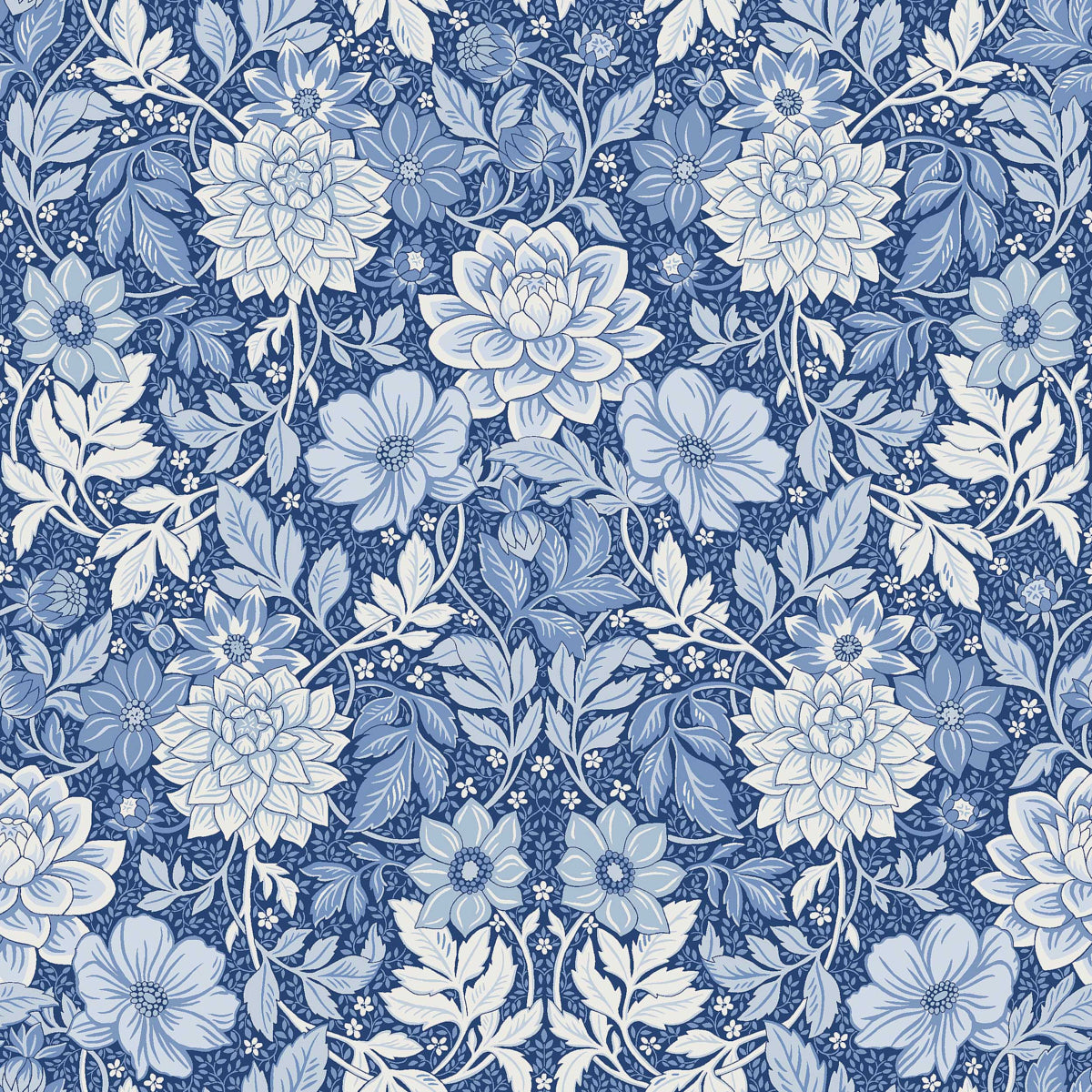 DAHLIA-GARDEN-BLUE-AND-WHITE-SCHUMACHER-6141