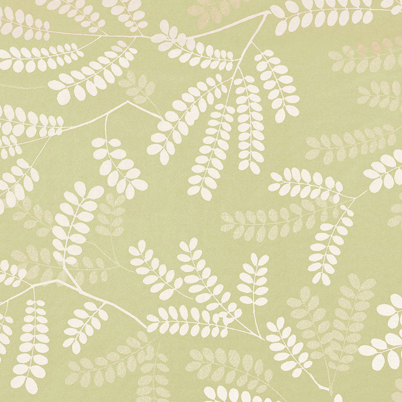 LOCUST-LEAVES-FERN-SCHUMACHER-62440
