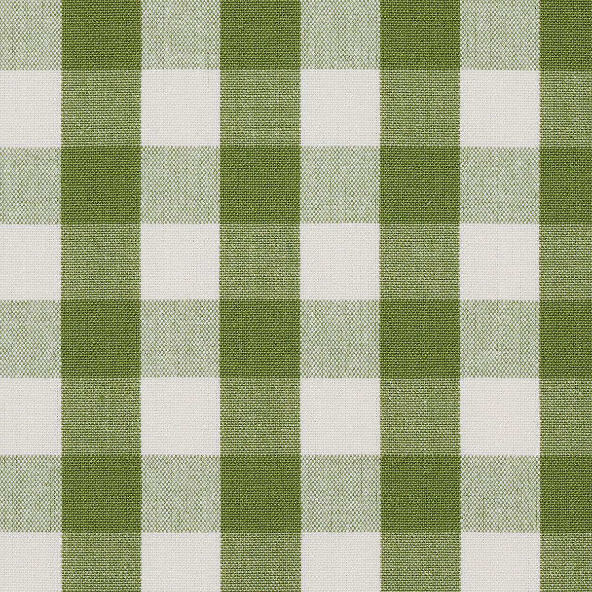 ELTON-COTTON-CHECK-LEAF-SCHUMACHER-63071