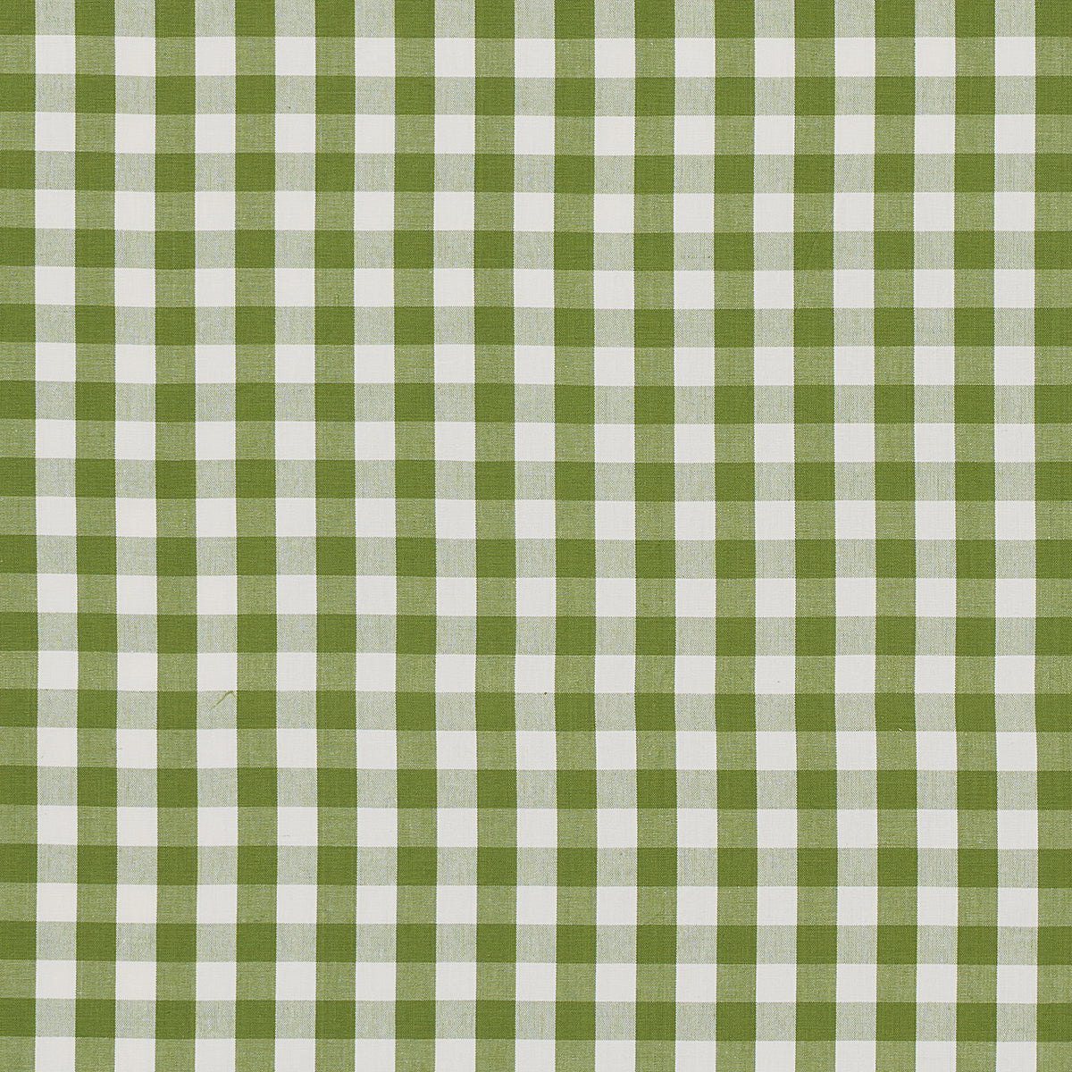 ELTON-COTTON-CHECK-LEAF-SCHUMACHER-63071