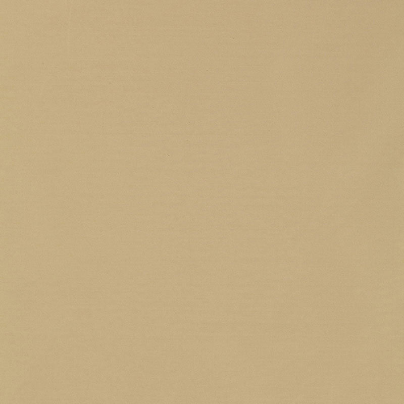 MASACCIO-TAFFETA-PUTTY-SCHUMACHER-63900