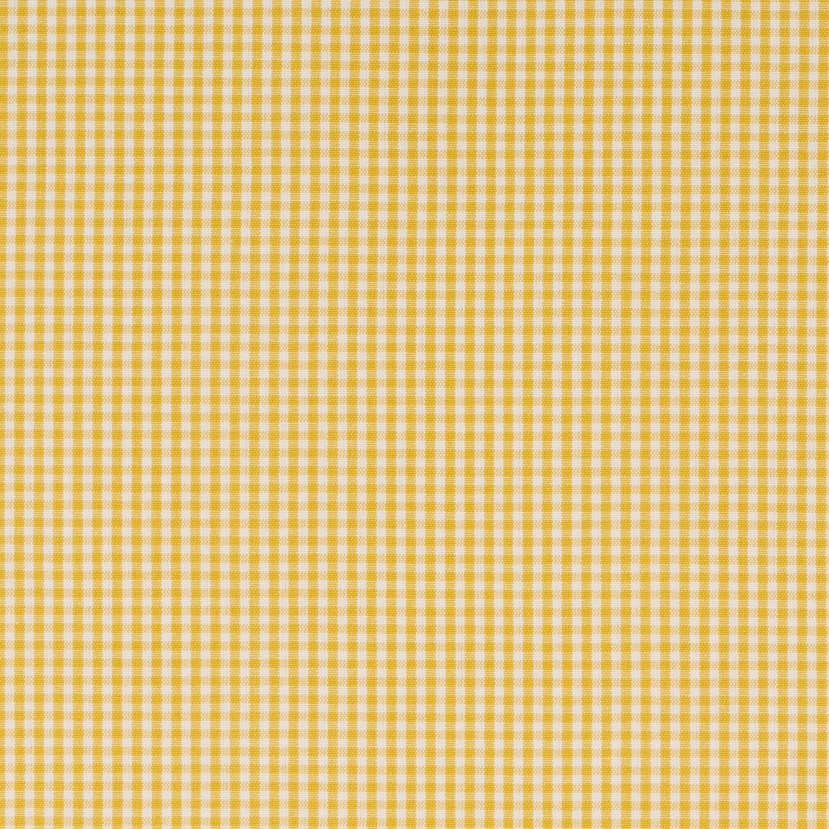 BARNET-COTTON-CHECK-YELLOW-SCHUMACHER-64639