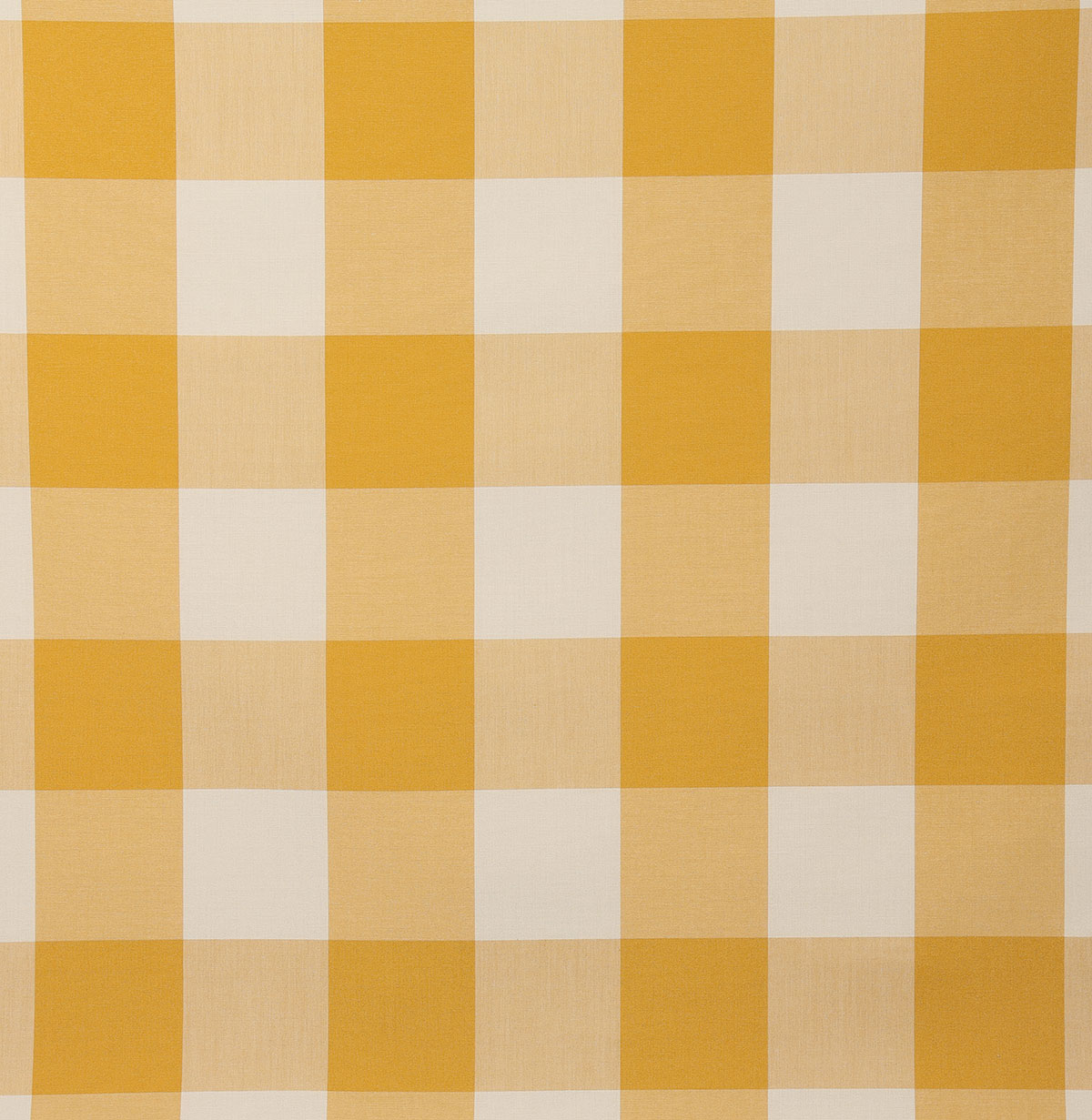6487-morro-sunshine-pindler