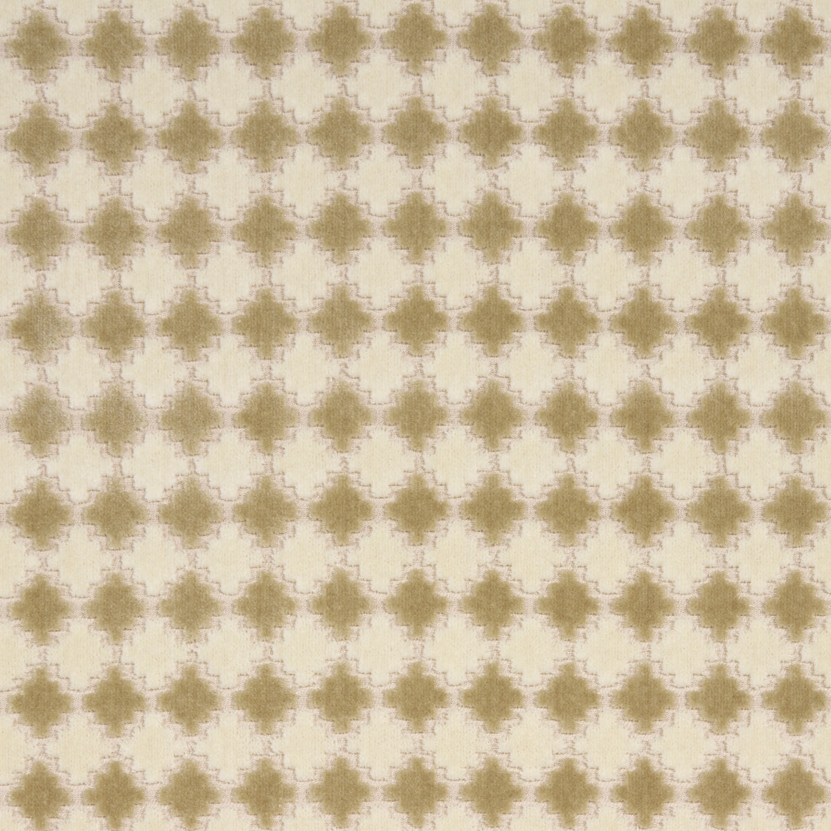 MARRAKESH-VELVET-CHAMPAGNE-SCHUMACHER-65644