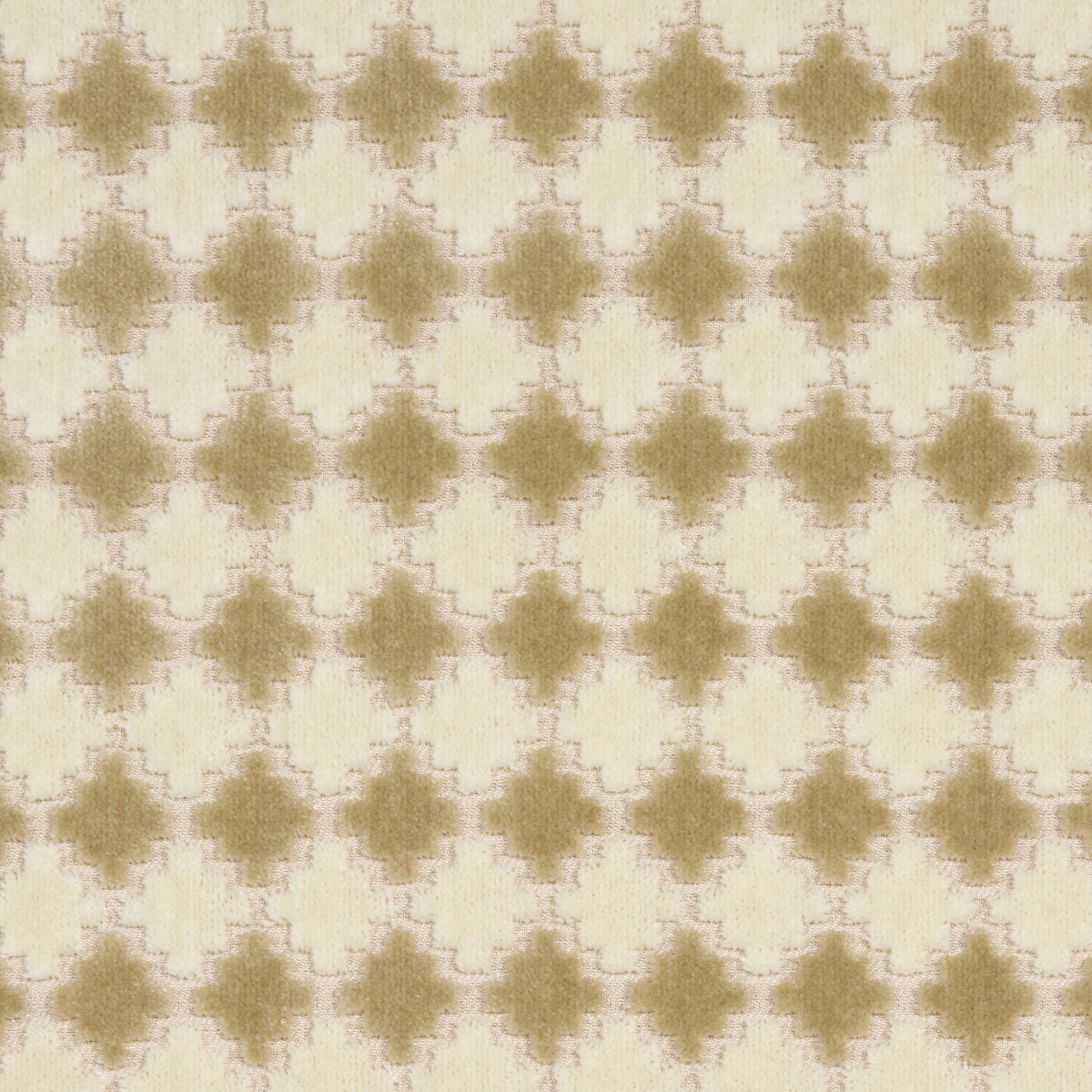 MARRAKESH-VELVET-CHAMPAGNE-SCHUMACHER-65644