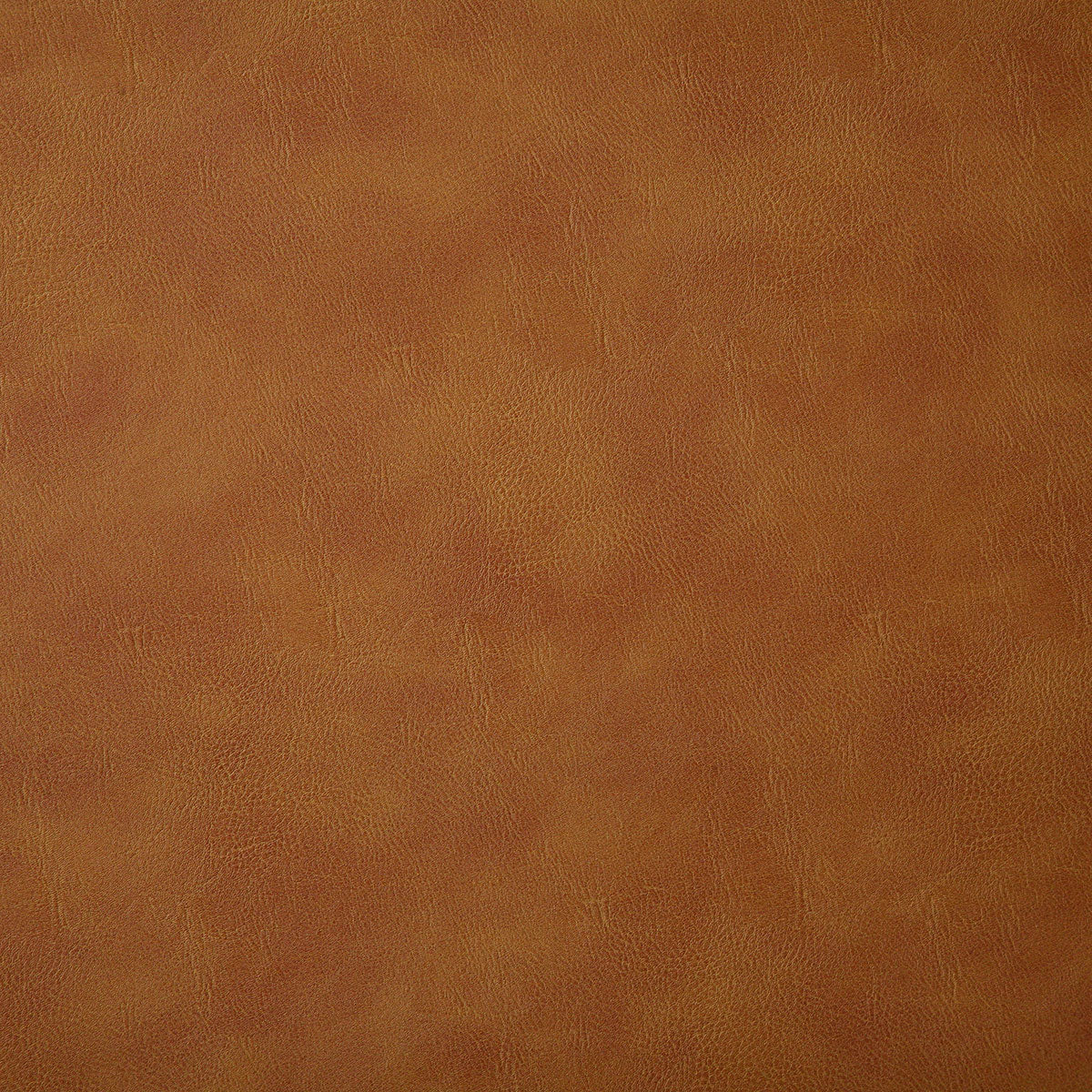 6918-bandwagon-saddle-pindler - Pindler Fabric