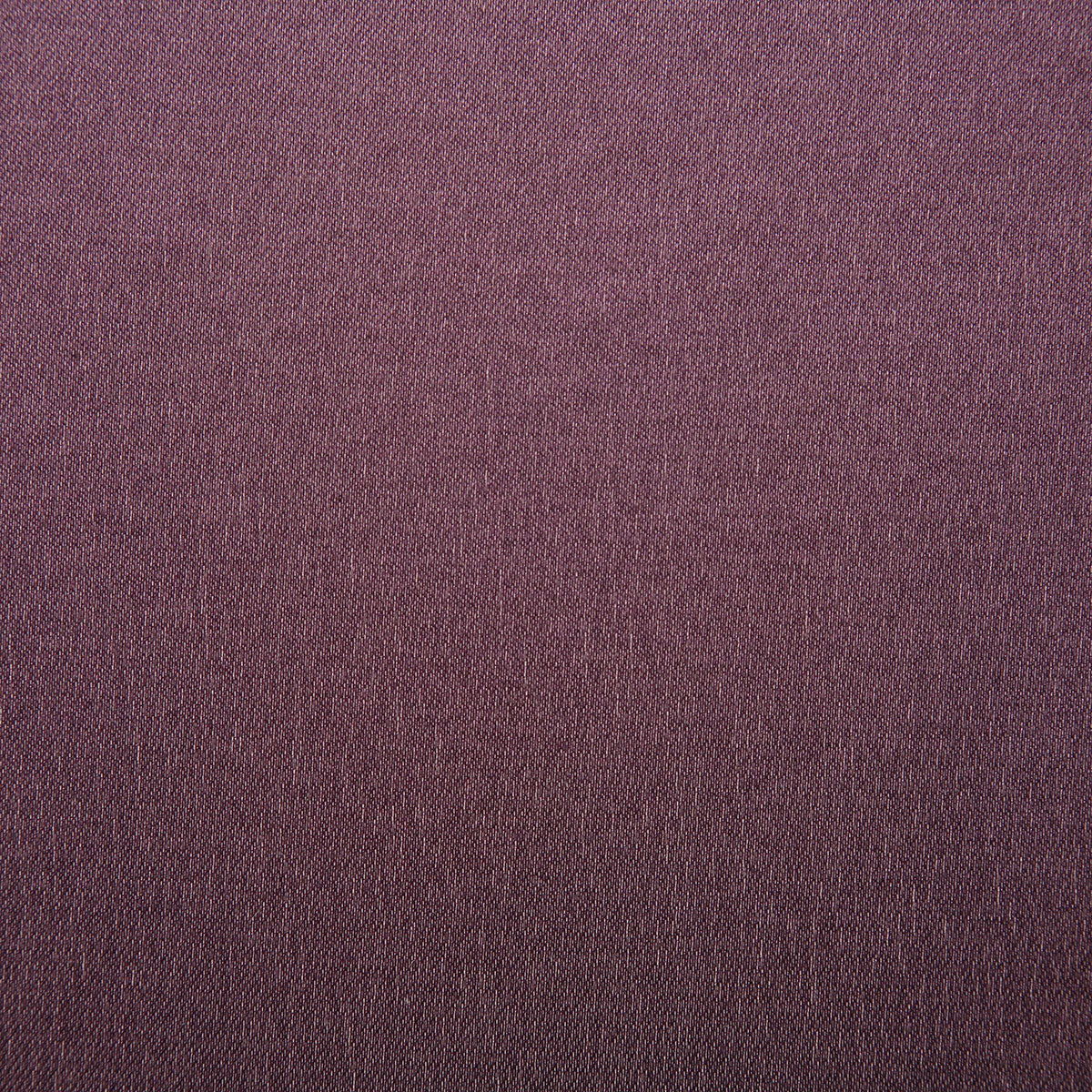 6926-duchess-orchid-pindler