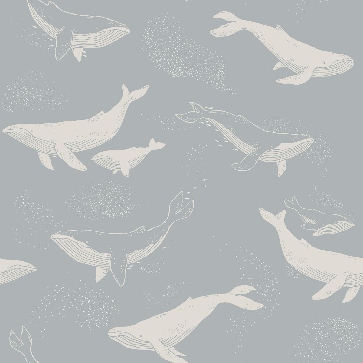 WHALES-SLATE-SCHUMACHER-6942