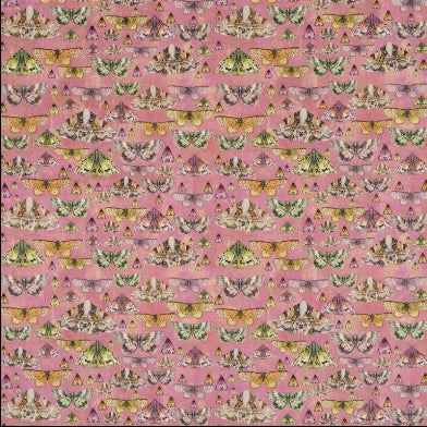 issoria-designers-guild-fdg2566-03