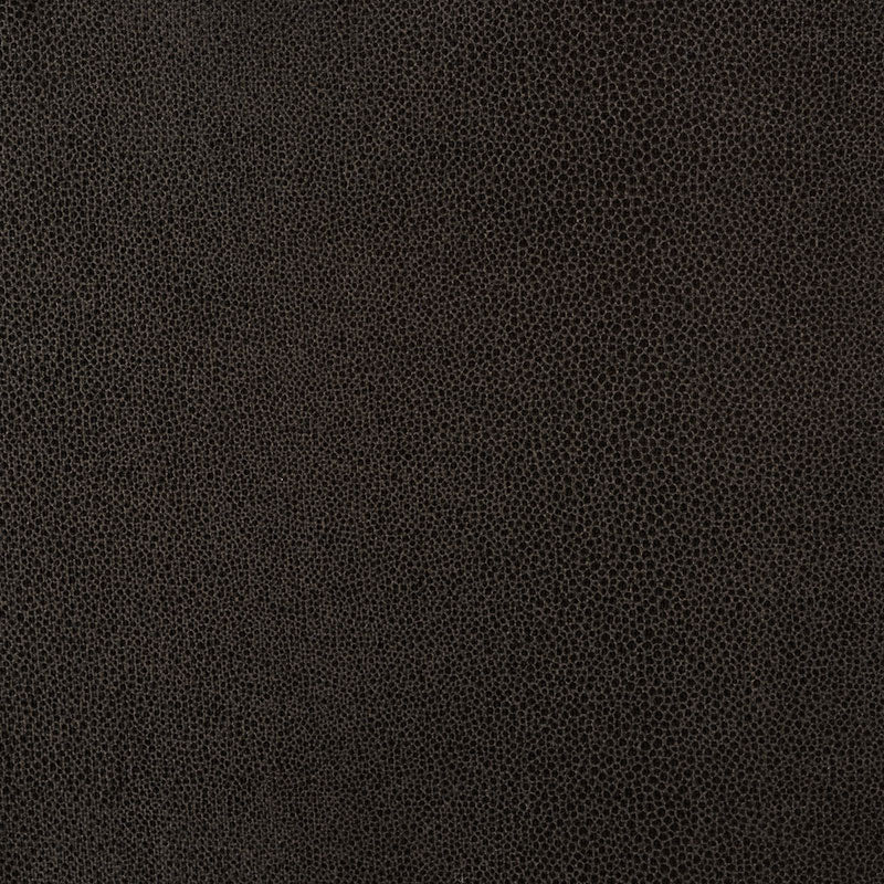 GLOSS-SHAGREEN-BARK-SCHUMACHER-70381