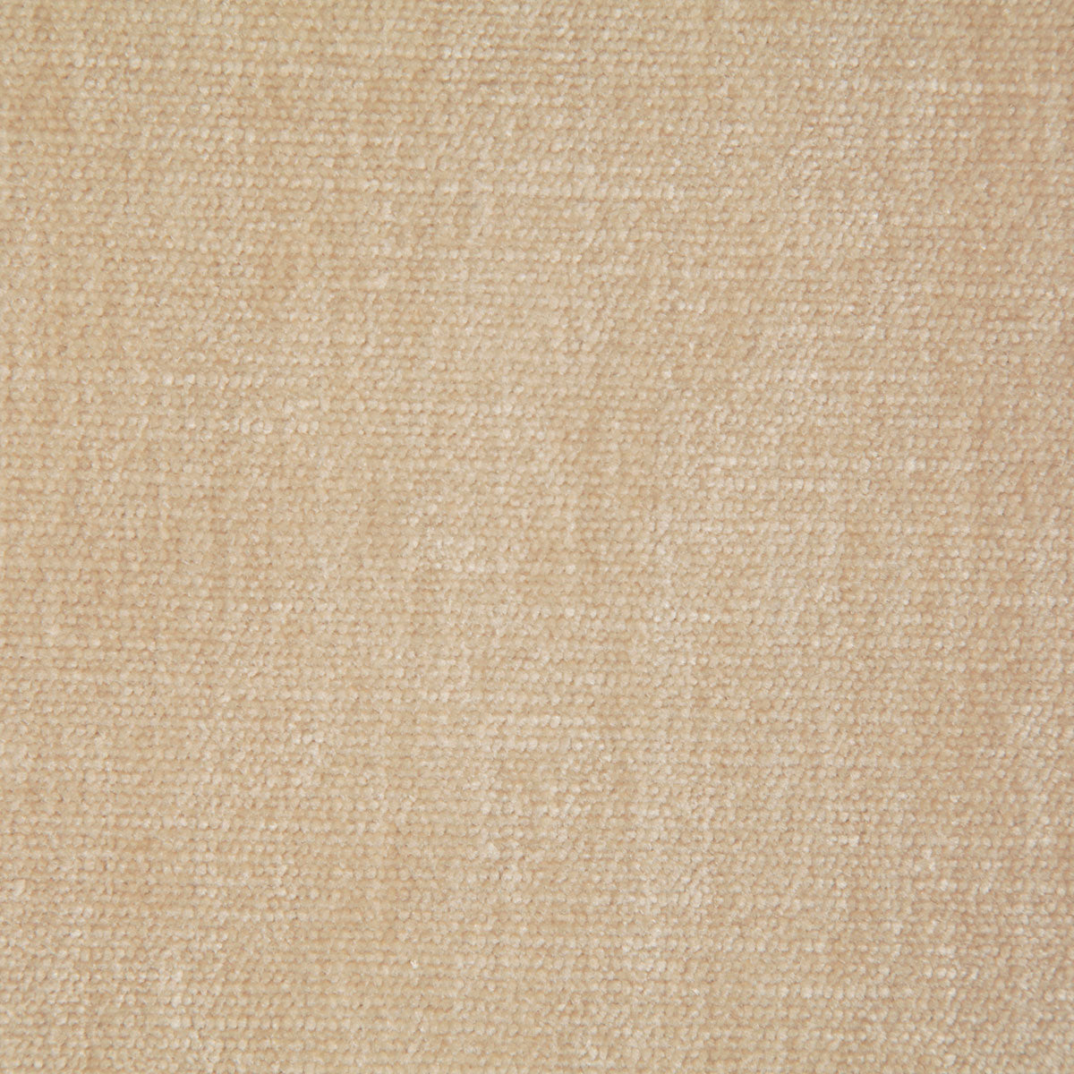7050-kennedy-eggshell-pindler - Pindler Tela