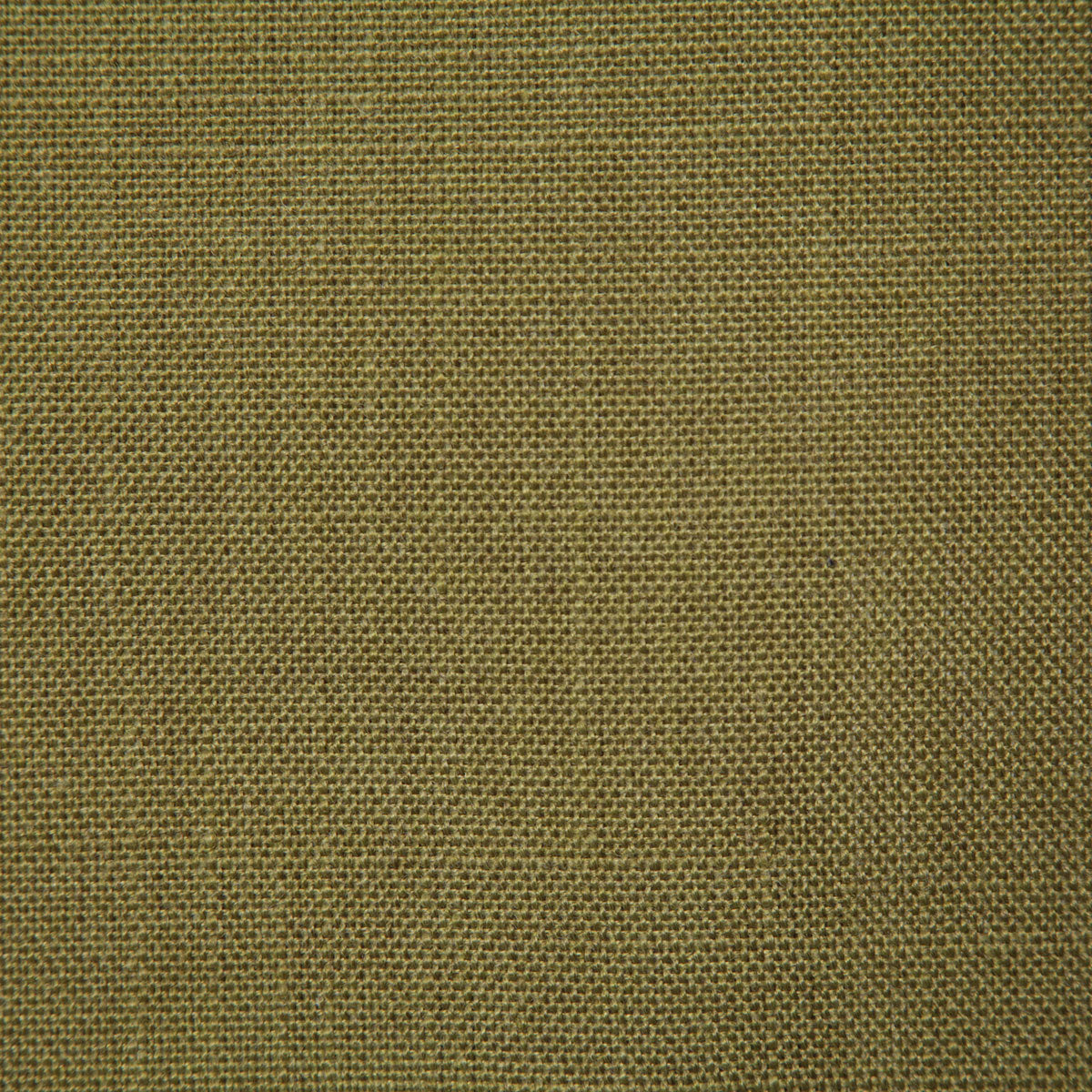 7065-lincoln-olive-pindler