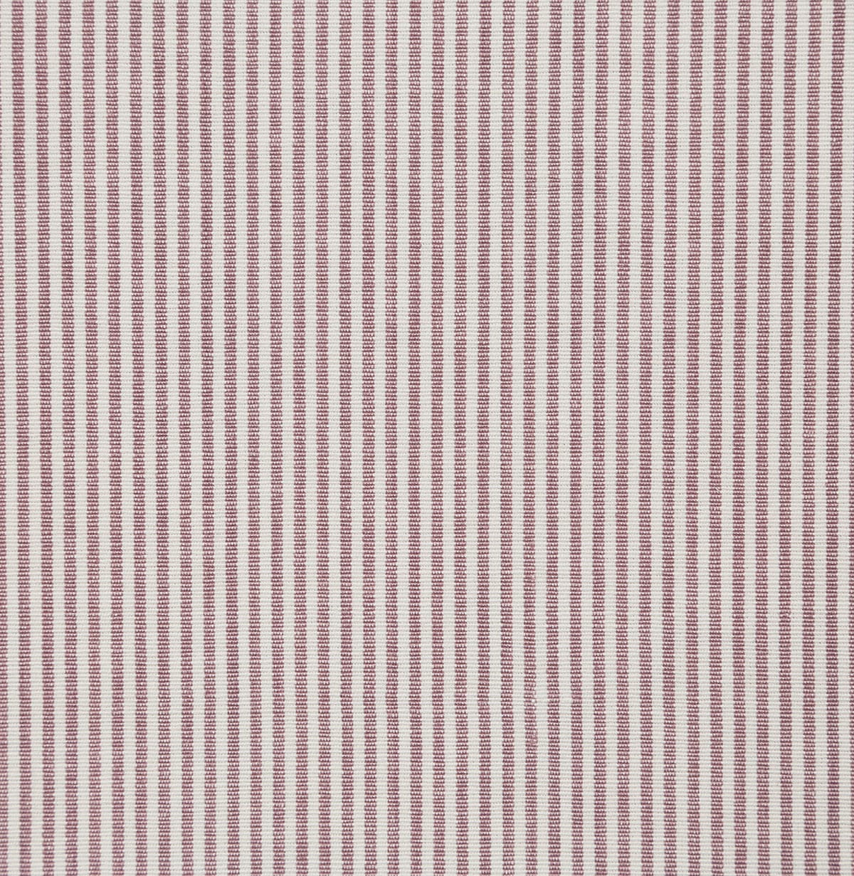 7107-savannah-thistle-pindler