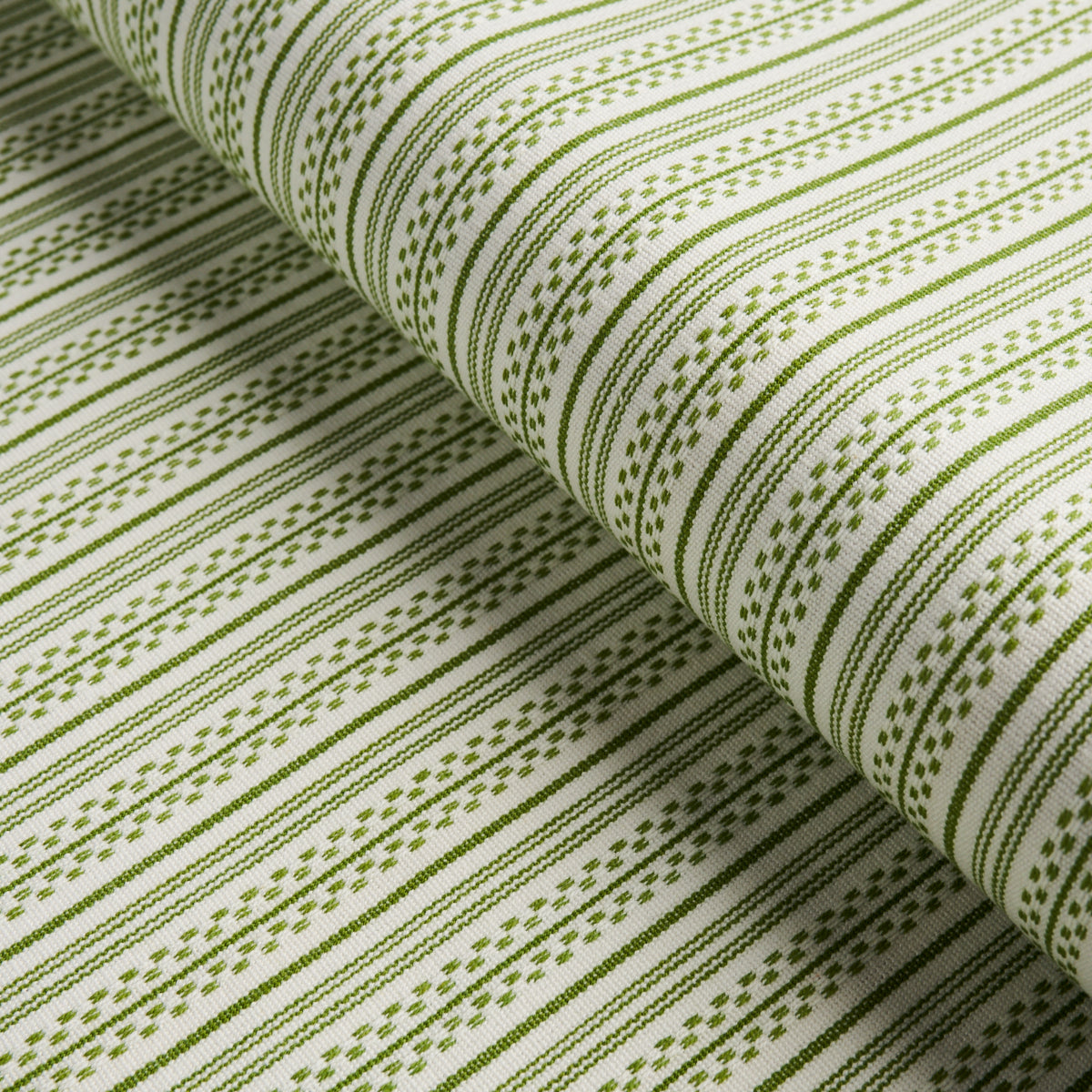 JACK-STRIPE-GREEN-SCHUMACHER-71416