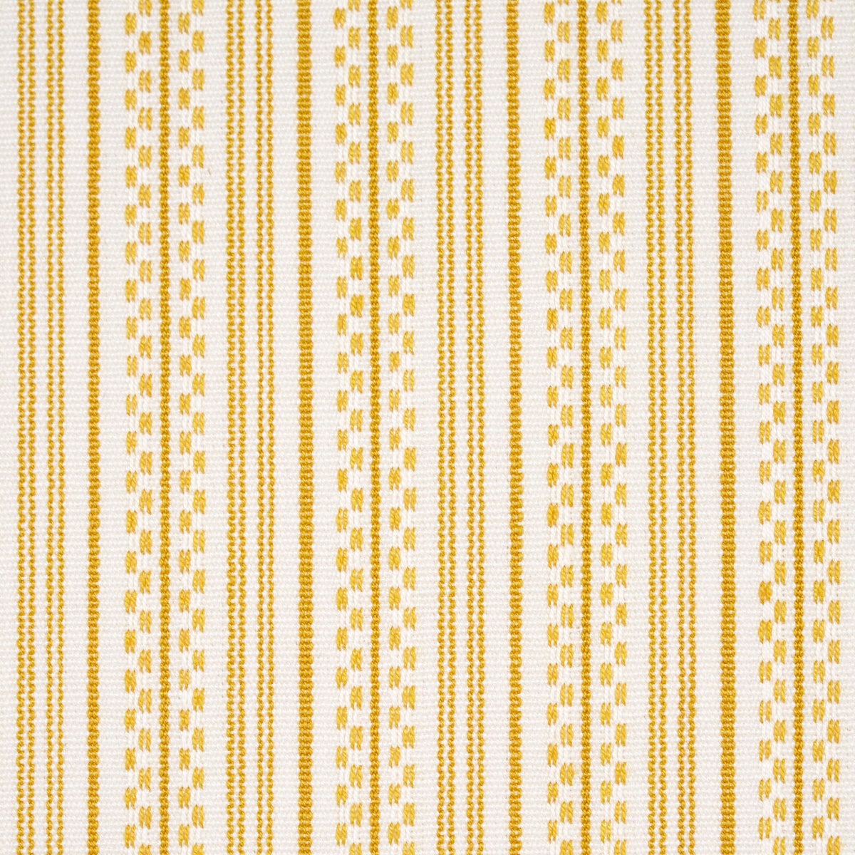 JACK-STRIPE-YELLOW-SCHUMACHER-71417