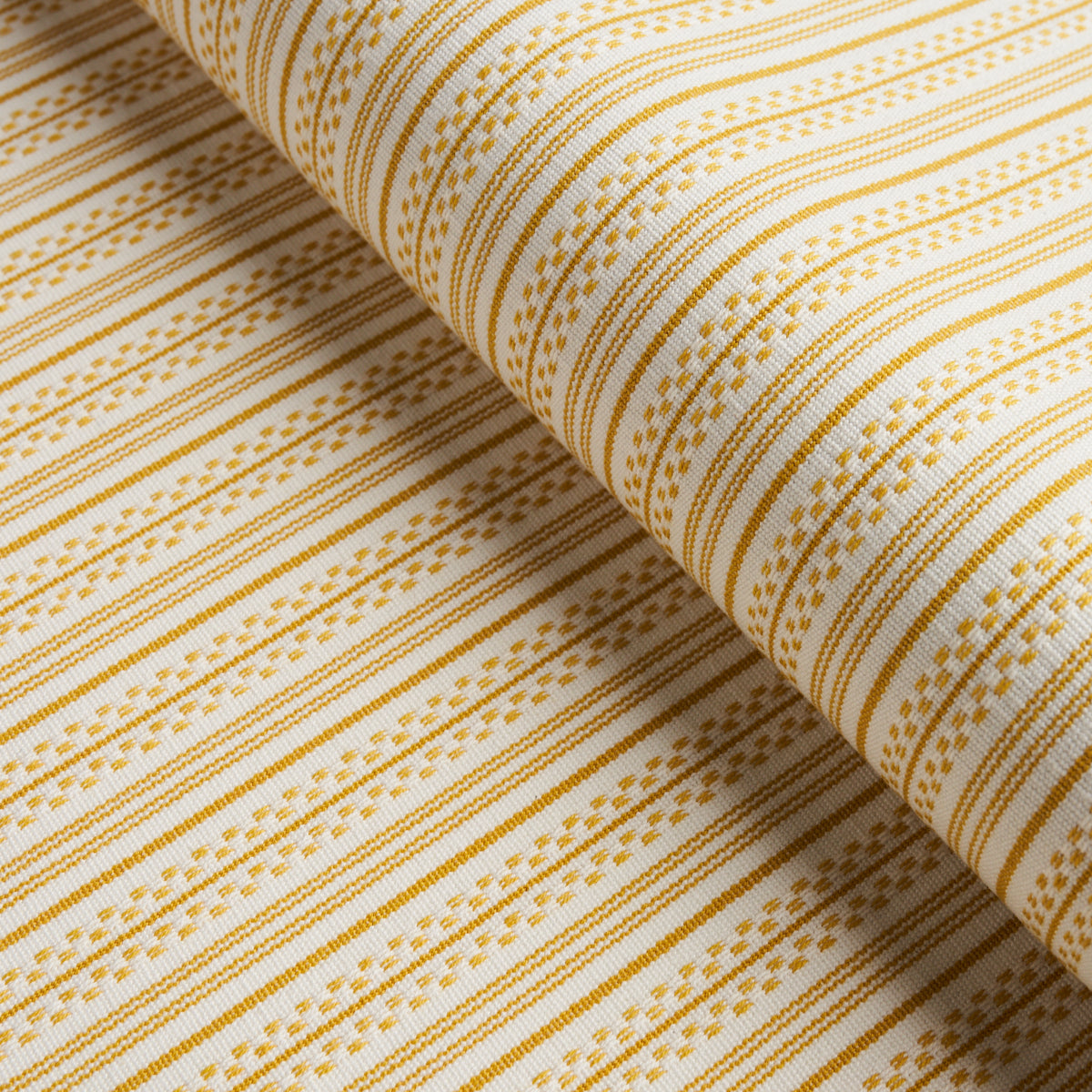 JACK-STRIPE-YELLOW-SCHUMACHER-71417
