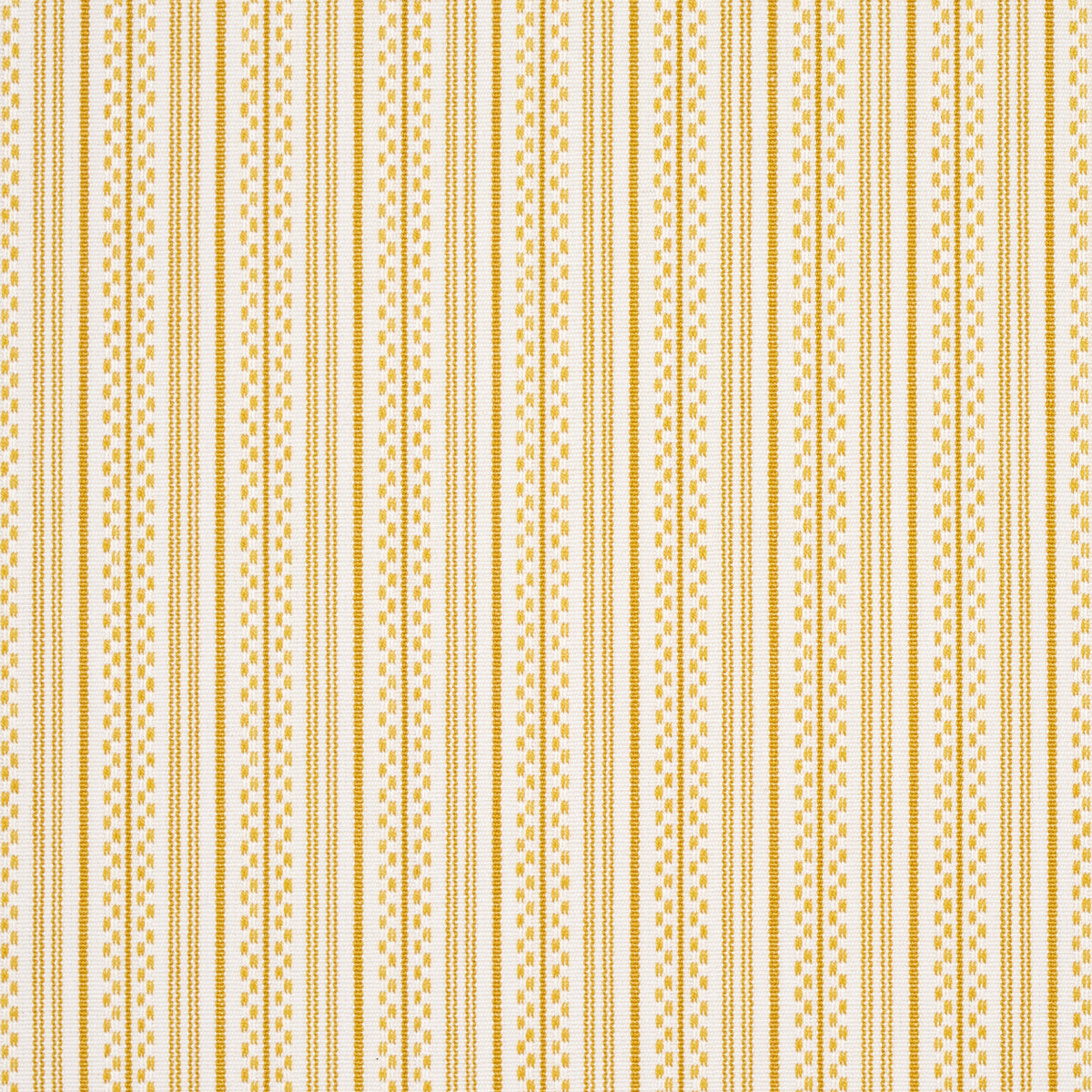 JACK-STRIPE-YELLOW-SCHUMACHER-71417