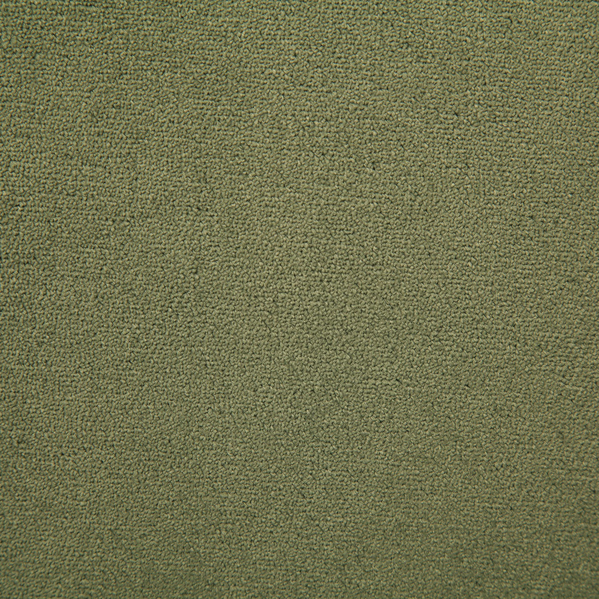 7175-athena-olive-pindler