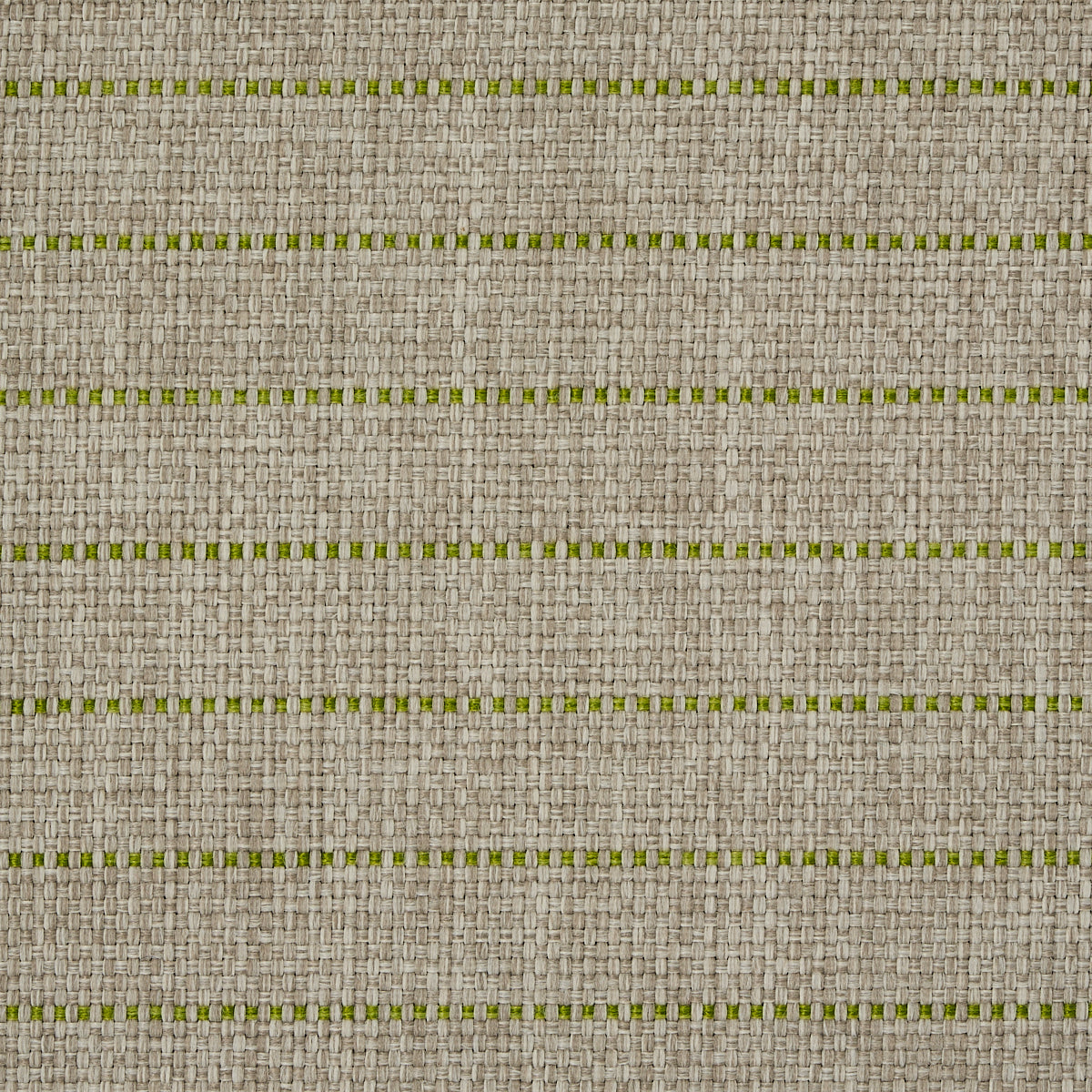 MANNING-STRIPE-INDOOR-OUTDOOR-LIME-SCHUMACHER-71813