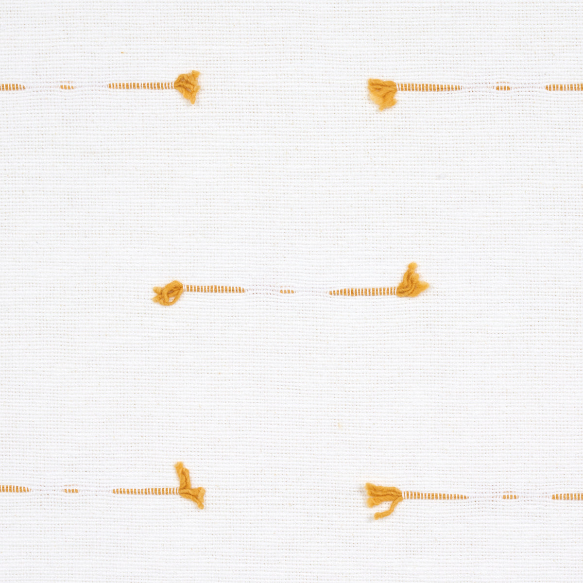 TETON-MAIZE-SCHUMACHER-72573