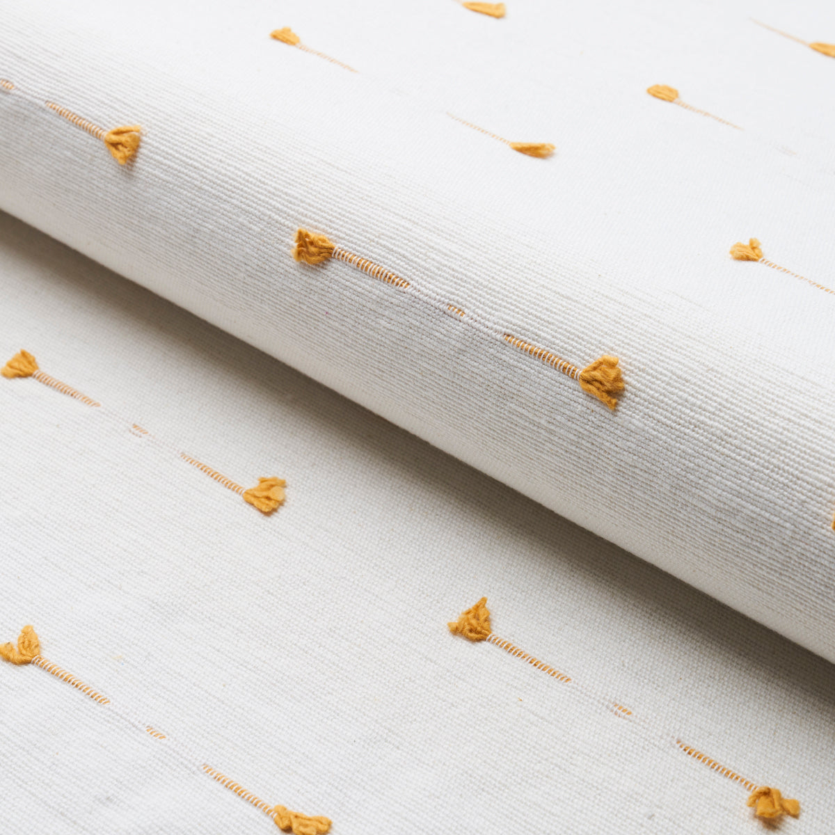 TETON-MAIZE-SCHUMACHER-72573