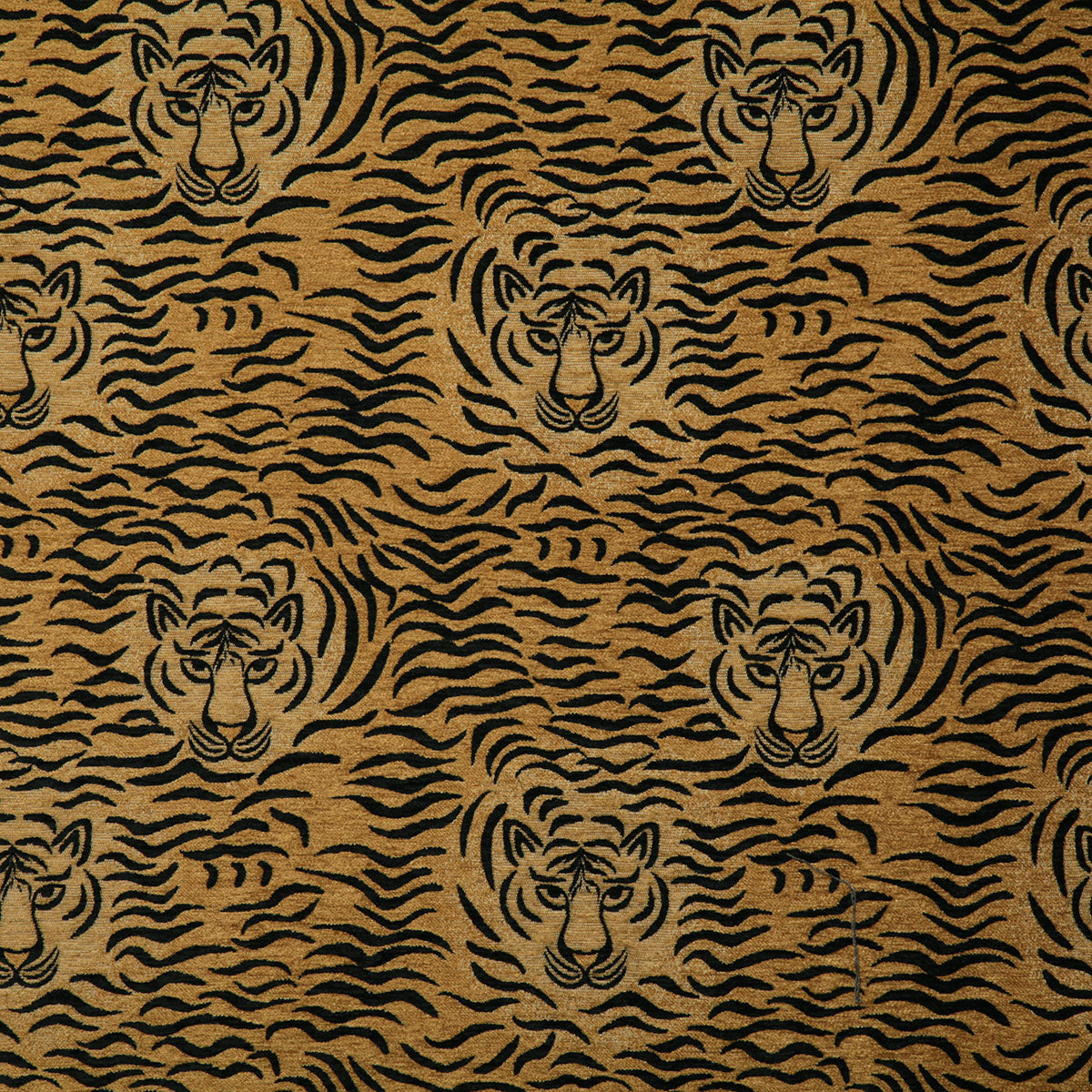 7267-bengal-safari-pindler