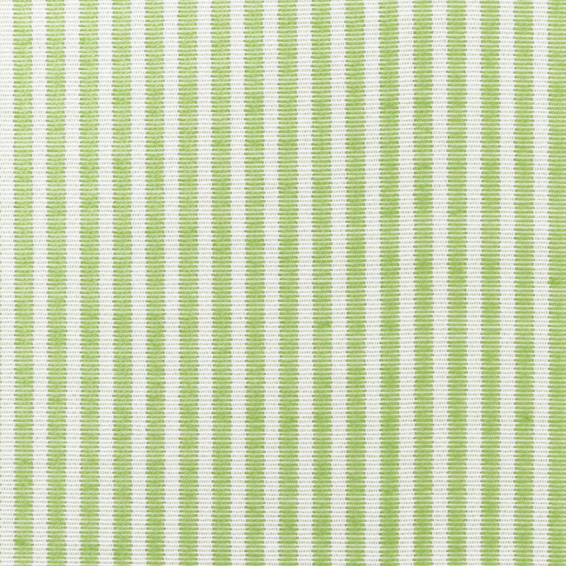 EASTON-STRIPE-INDOOR-OUTDOOR-LEAF-SCHUMACHER-73151