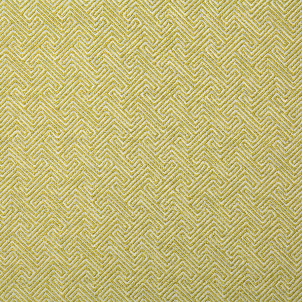 7319-domain-citrus-pindler