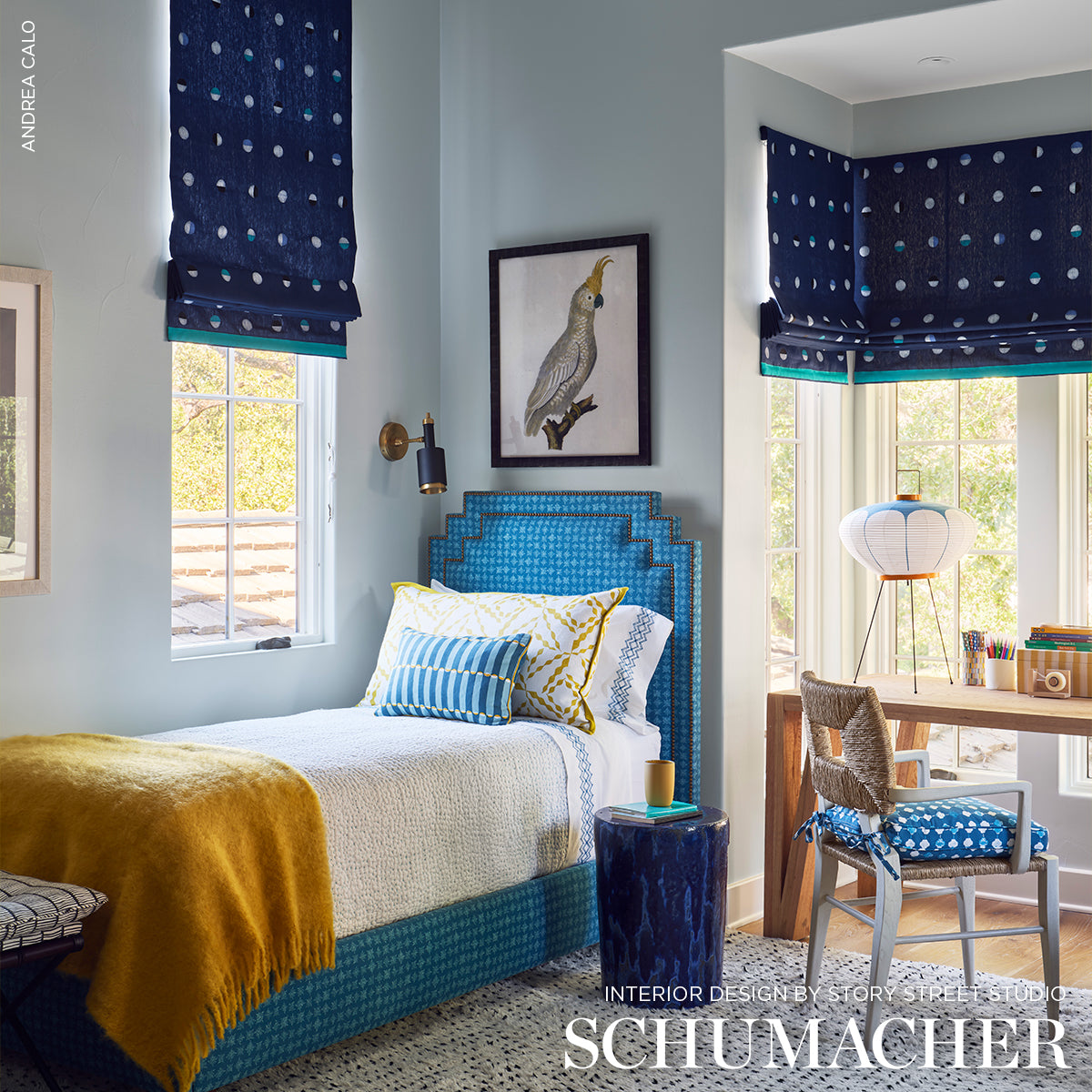 JOSHUA-TREE-INDIGO-MOONS-SCHUMACHER-74050