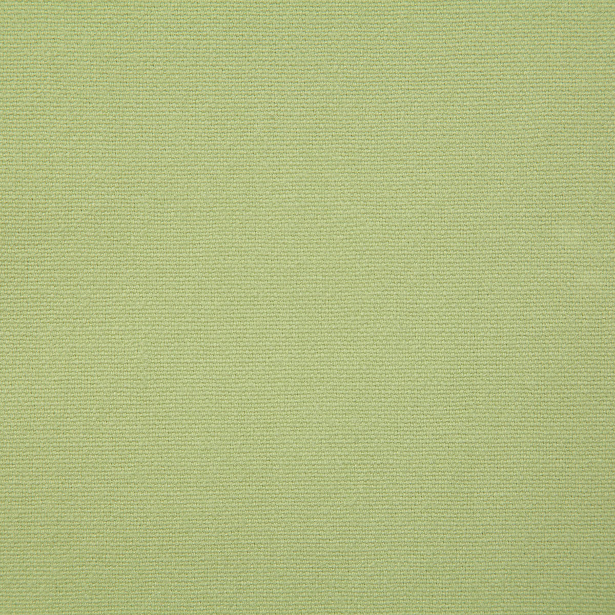 7415-hutton-citron-pindler