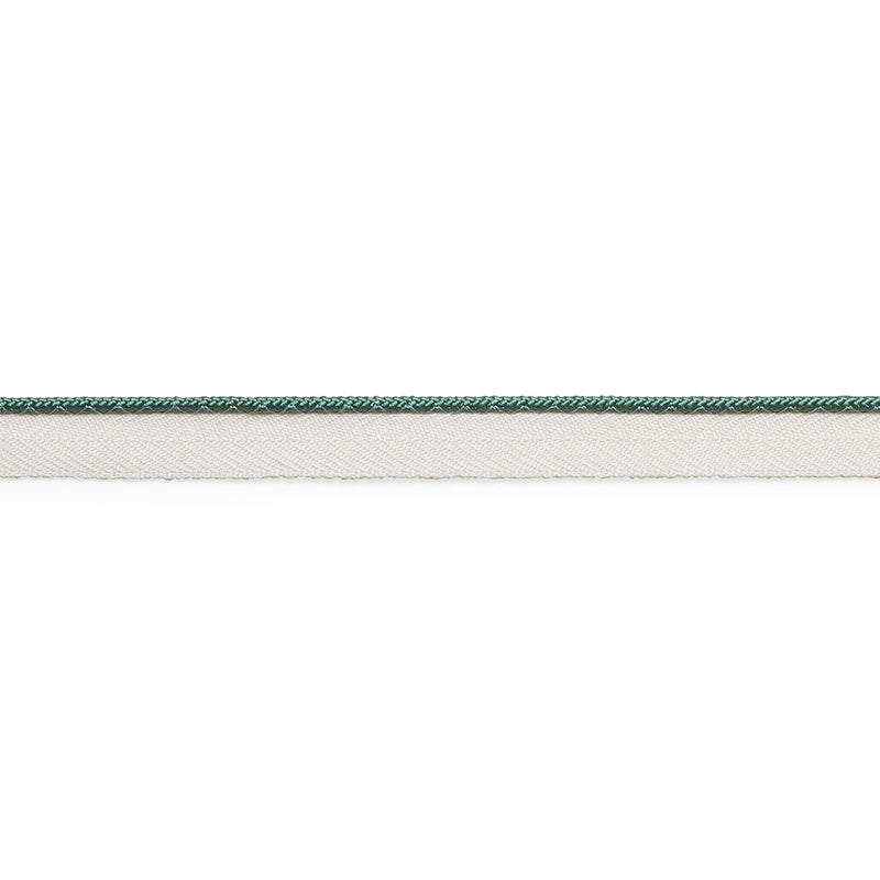 GUSTAVE-SILK-LIP-CORD-NARROW-PATINA-SCHUMACHER-74526