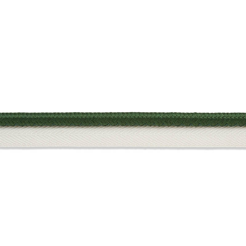 GUSTAVE-SILK-LIP-CORD-WIDE-EMERALD-SCHUMACHER-74574