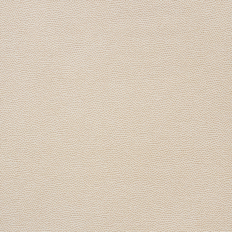 STINGRAY-CHAMPAGNE-SCHUMACHER-75200
