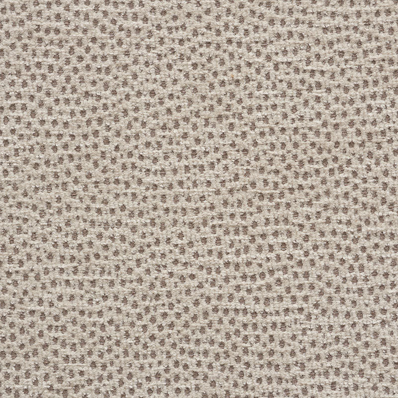 STINGRAY-ZINC-SCHUMACHER-75202