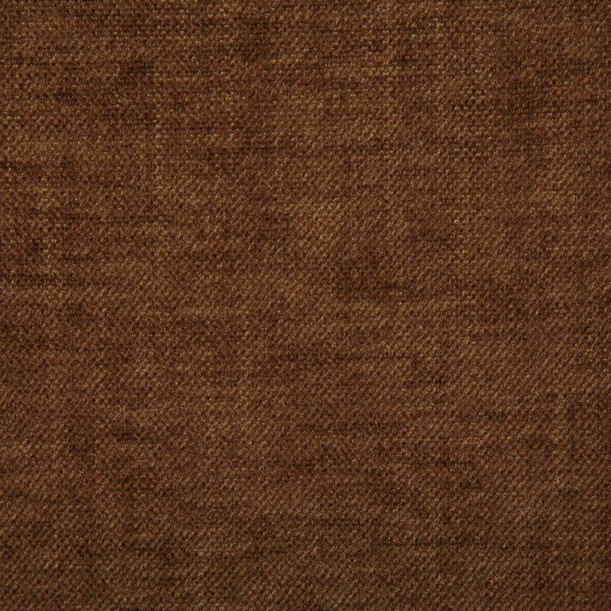 7533-peyton-amber-pindler - Pindler Tela