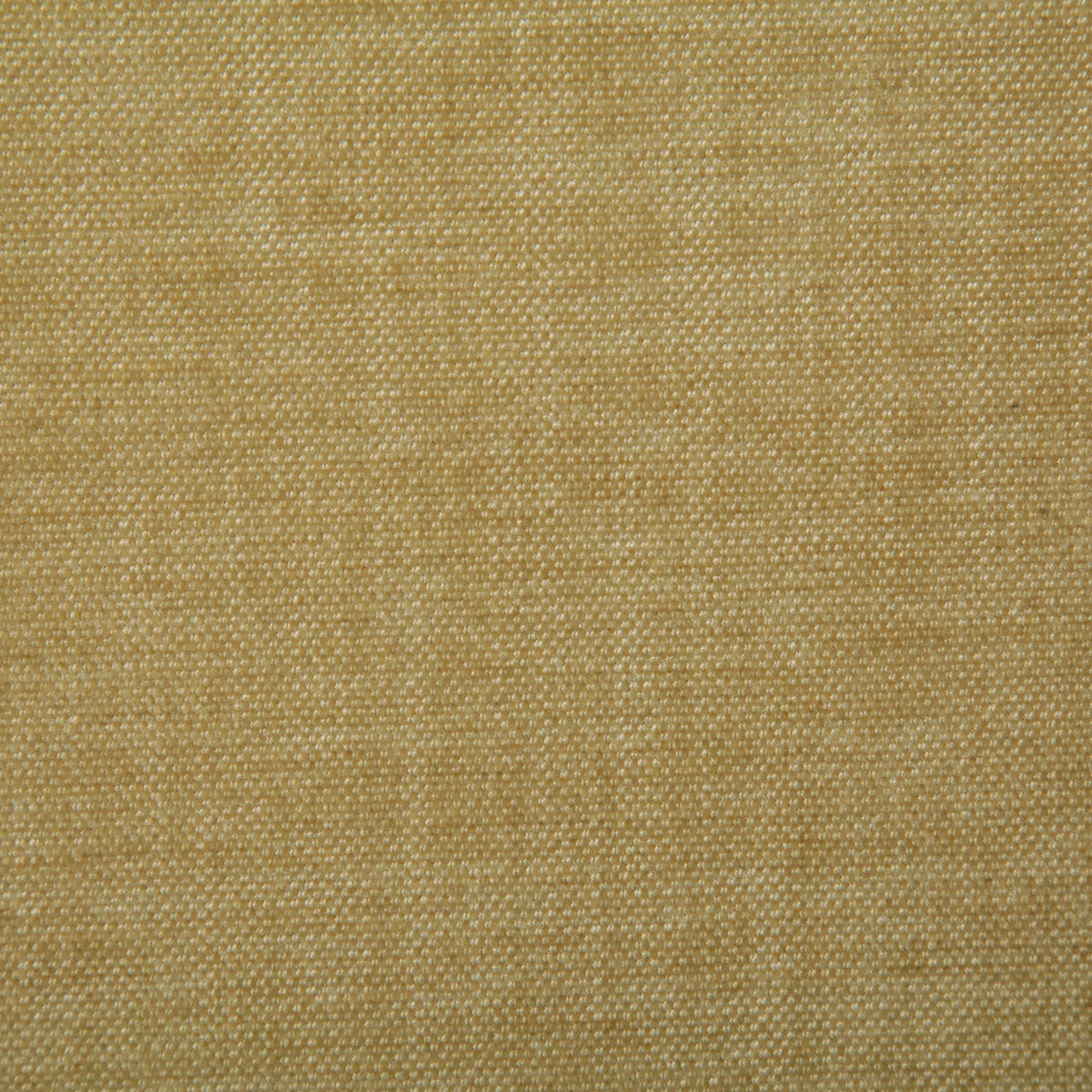 7533-peyton-straw-pindler - Pindler Tela