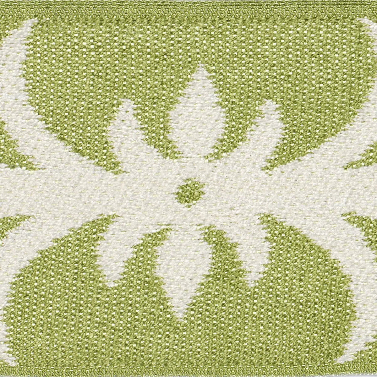 ACANTHUS-TAPE-ROMAINE-SCHUMACHER-75445