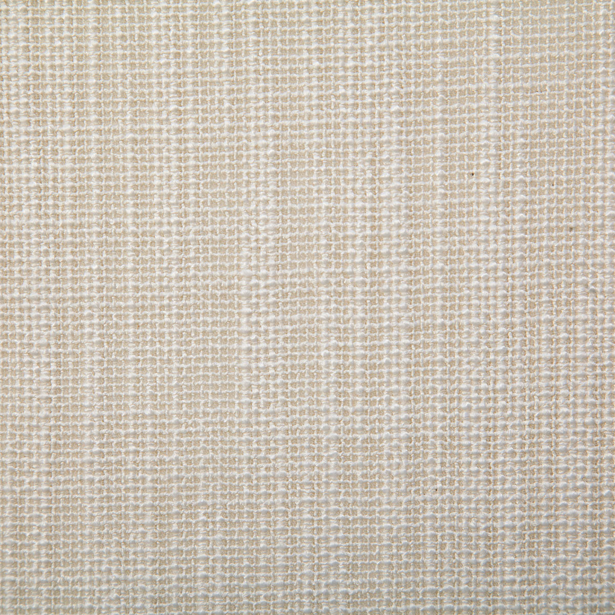 7569-kristen-cream-pindler