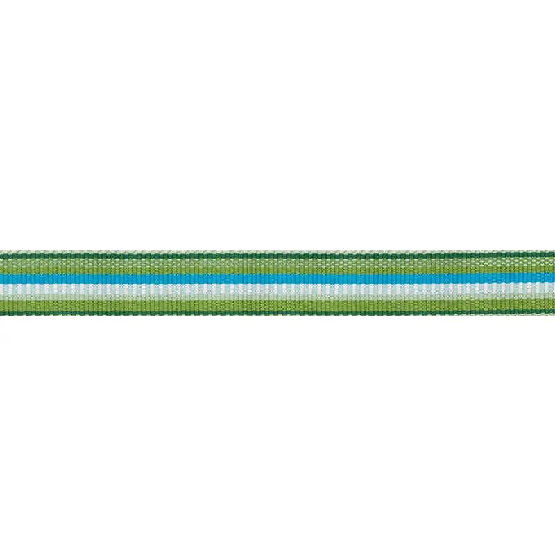 PRIMAVERA-TAPE-NARROW-MEADOW-SCHUMACHER-75980